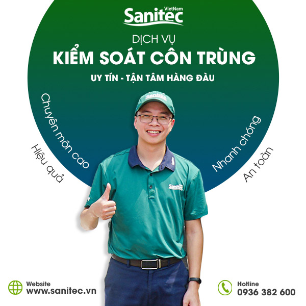 Dịch vụ diệt côn trùng tại nhà của Sanitec Việt Nam