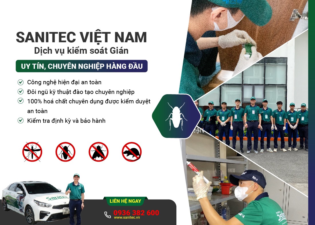 Dịch vụ diệt gián Sanitec Việt Nam