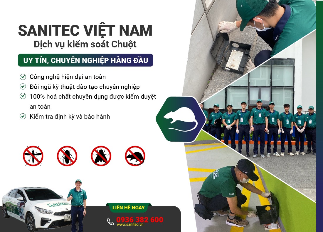 Dịch vụ kiểm soát chuột uy tín đến từ Sanitec Việt Nam