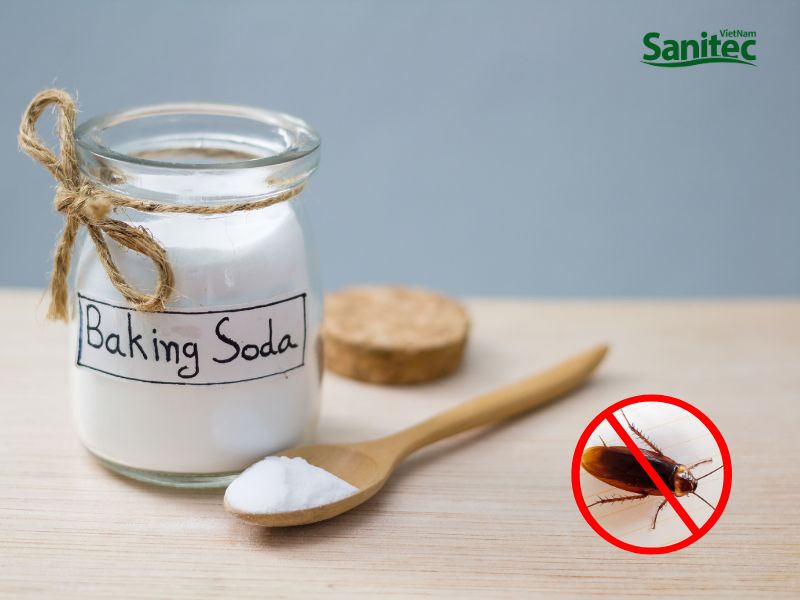 Đuổi gián ra khỏi nhà bằng baking soda và đường