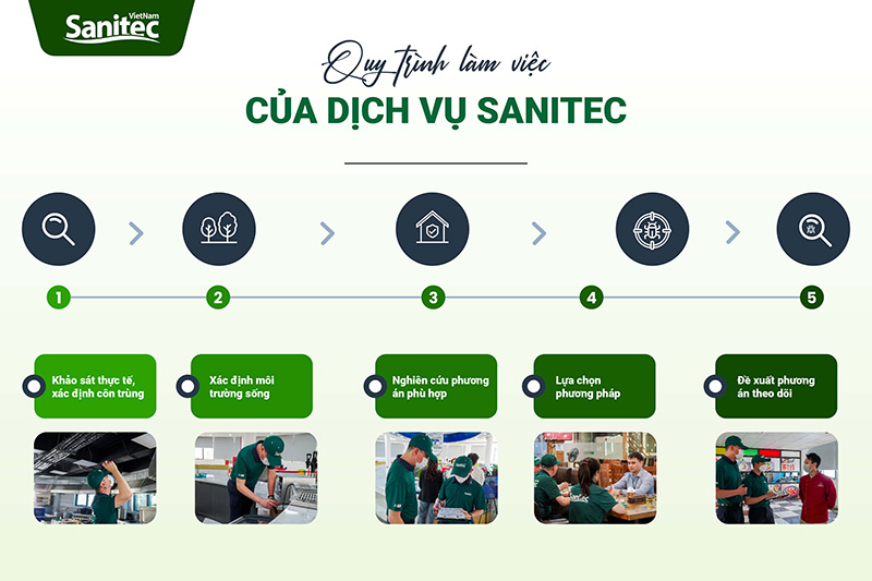 Quy trình dịch vụ của Sanitec Việt Nam