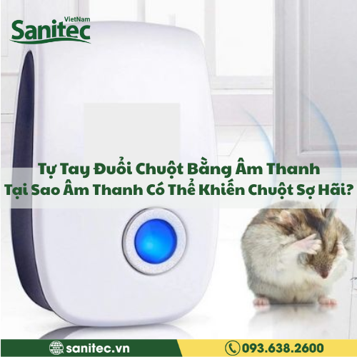Tự Tay Đuổi Chuột Bằng Âm Thanh: Tại Sao Âm Thanh Có Thể Khiến Chuột Sợ Hãi?