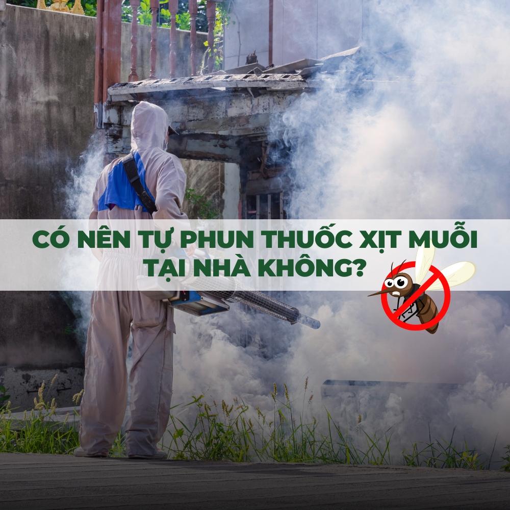 CÓ NÊN TỰ PHUN THUỐC XỊT MUỖI TẠI NHÀ KHÔNG?