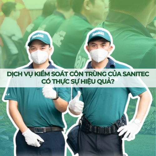 DỊCH VỤ KIỂM SOÁT CÔN TRÙNG CỦA SANITEC CÓ THỰC SỰ HIỆU QUẢ?