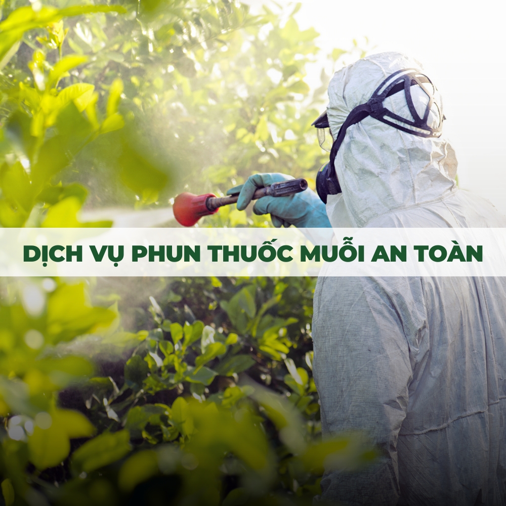 DỊCH VỤ PHUN THUỐC MUỖI AN TOÀN