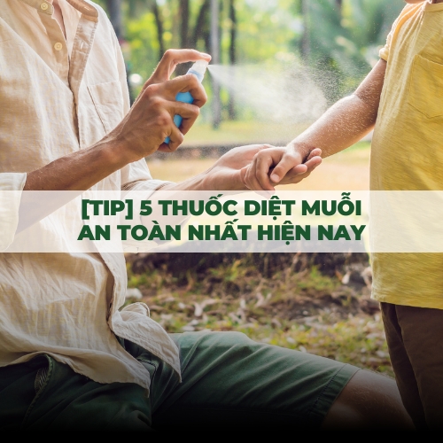 [Tip] 5 thuốc diệt muỗi an toàn nhất hiện nay