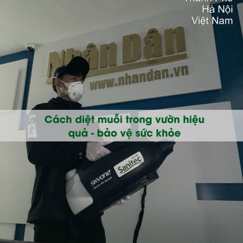 Cách diệt muỗi trong vườn hiệu quả - Bảo vệ sức khỏe