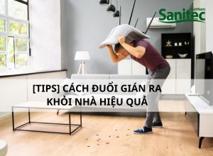 [Tips] Cách Đuổi Gián Ra Khỏi Nhà Hiệu Quả 100%