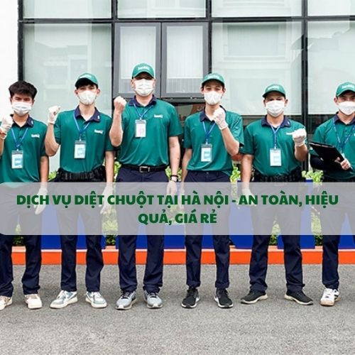 DỊCH VỤ DIỆT CHUỘT TẠI HÀ NỘI - AN TOÀN, HIỆU QUẢ, GIÁ RẺ