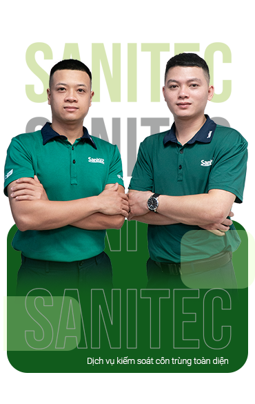 What is outstanding about the insect control service at Sanitec?