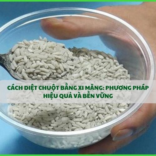 CÁCH DIỆT CHUỘT BẰNG XI MĂNG: PHƯƠNG PHÁP HIỆU QUẢ VÀ BỀN VỮNG