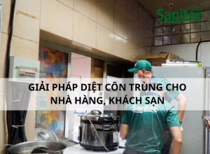 Giải Pháp Diệt Côn Trùng Chuyên Nghiệp Cho Nhà Hàng, Khách Sạn