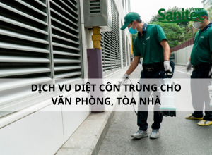 Dịch vụ Diệt Côn Trùng Chuyên Nghiệp Cho Văn Phòng Tòa Nhà