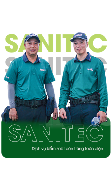 Dịch vụ xử lý côn trùng tại  Sanitec có gì nổi bật?