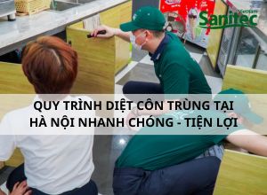 Quy Trình Diệt Côn Trùng Tại Hà Nội Nhanh Chóng Tiện Lợi