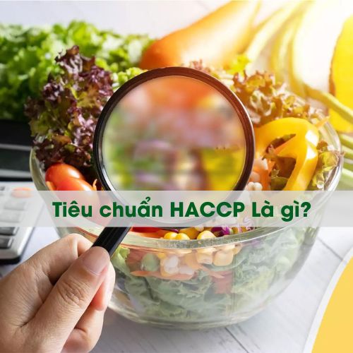 TIÊU CHUẨN HACCP TRONG NGÀNH CHẾ BIẾN THỰC PHẨM: ĐẢM BẢO AN TOÀN THỰC PHẨM TỪ KH U SẢN XUẤT