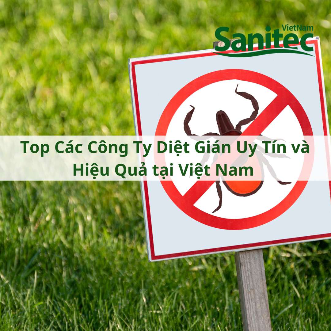 Top Các Công Ty Diệt Gián Uy Tín và Hiệu Quả tại Việt Nam