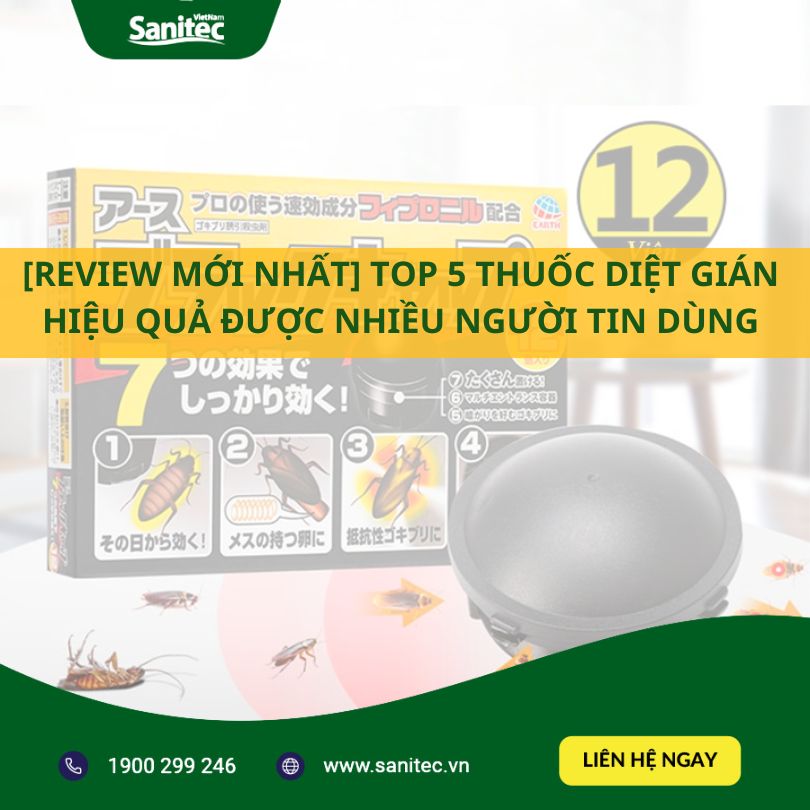 [REVIEW MỚI NHẤT] Top 5 Thuốc Diệt Gián Hiệu Quả Được Nhiều Người Tin Dùng